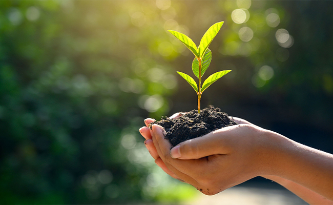 Mejorar la conciencia ambiental de los empleados